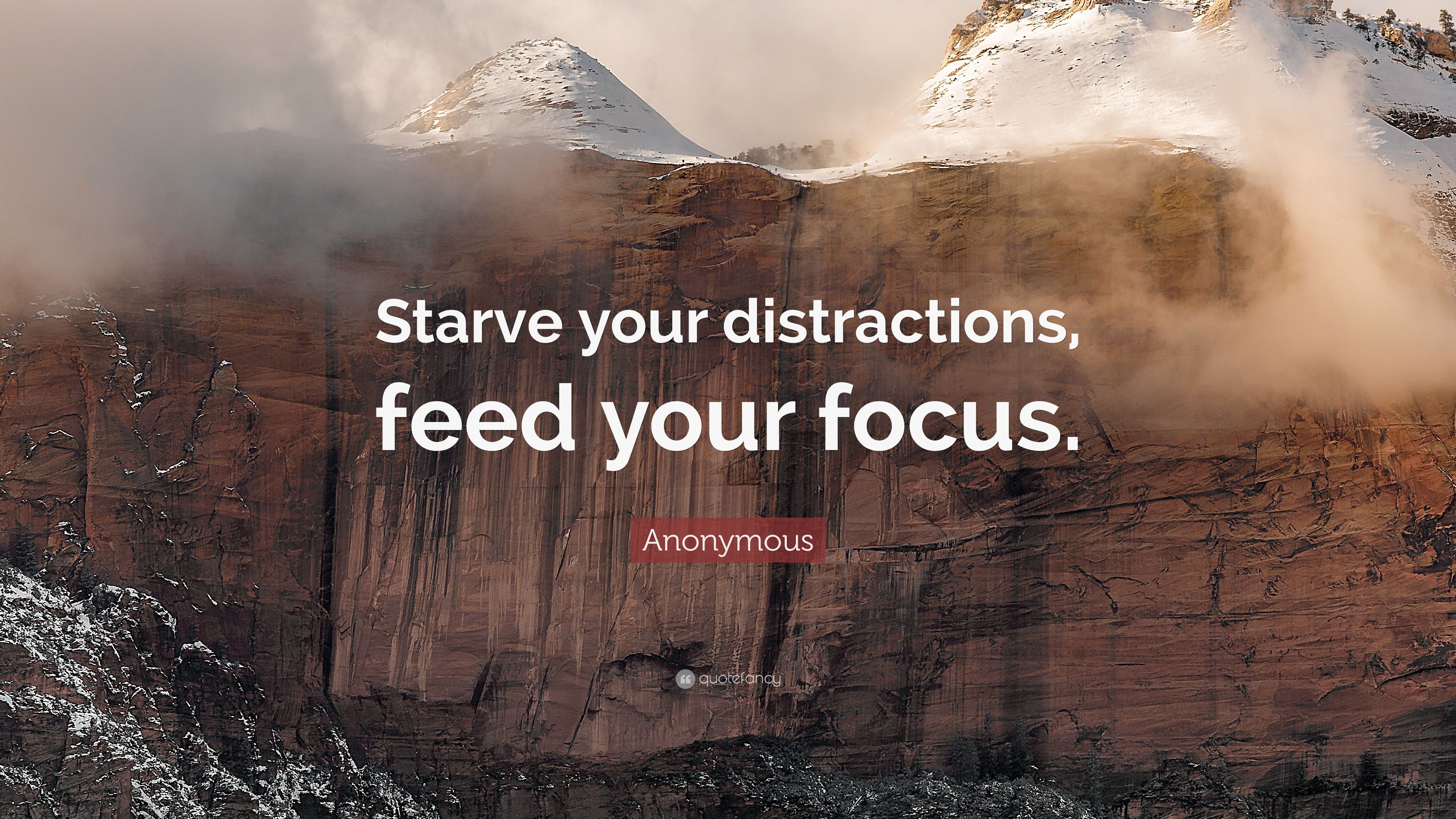 Focus quotes wallpapers