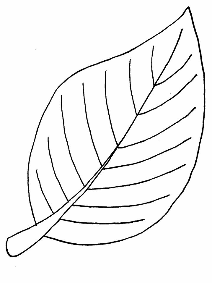 Desenhos de colorir de ãrvore folhas e flores leaf coloring page printable leaves tree coloring page