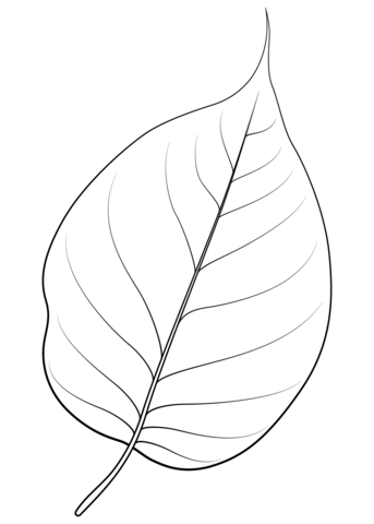 Desenho de osage folha de laranjeira para colorir desenhos para colorir e imprimir gratis