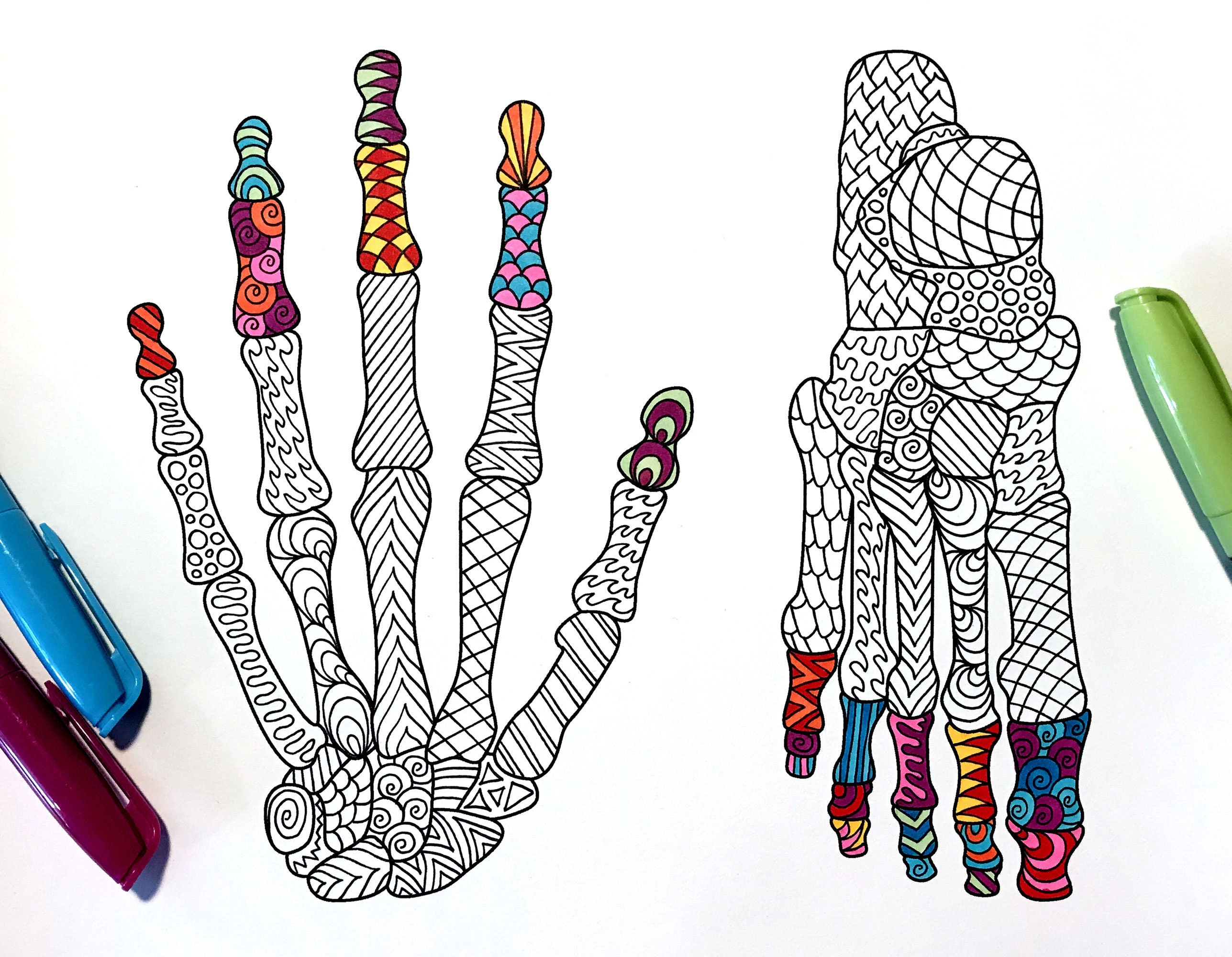 Hand and foot bones pdf anatomy coloring page