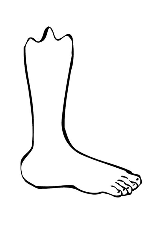 Coloring page foot