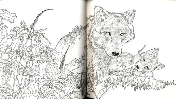 Forest animals coloring book japanese coloring book