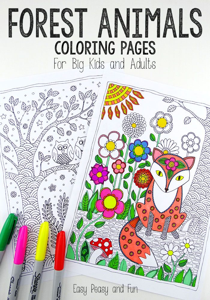 Forest animals coloring pages pãginas para colorear de animales pãginas para colorear para adultos gratis libros para colorear adultos