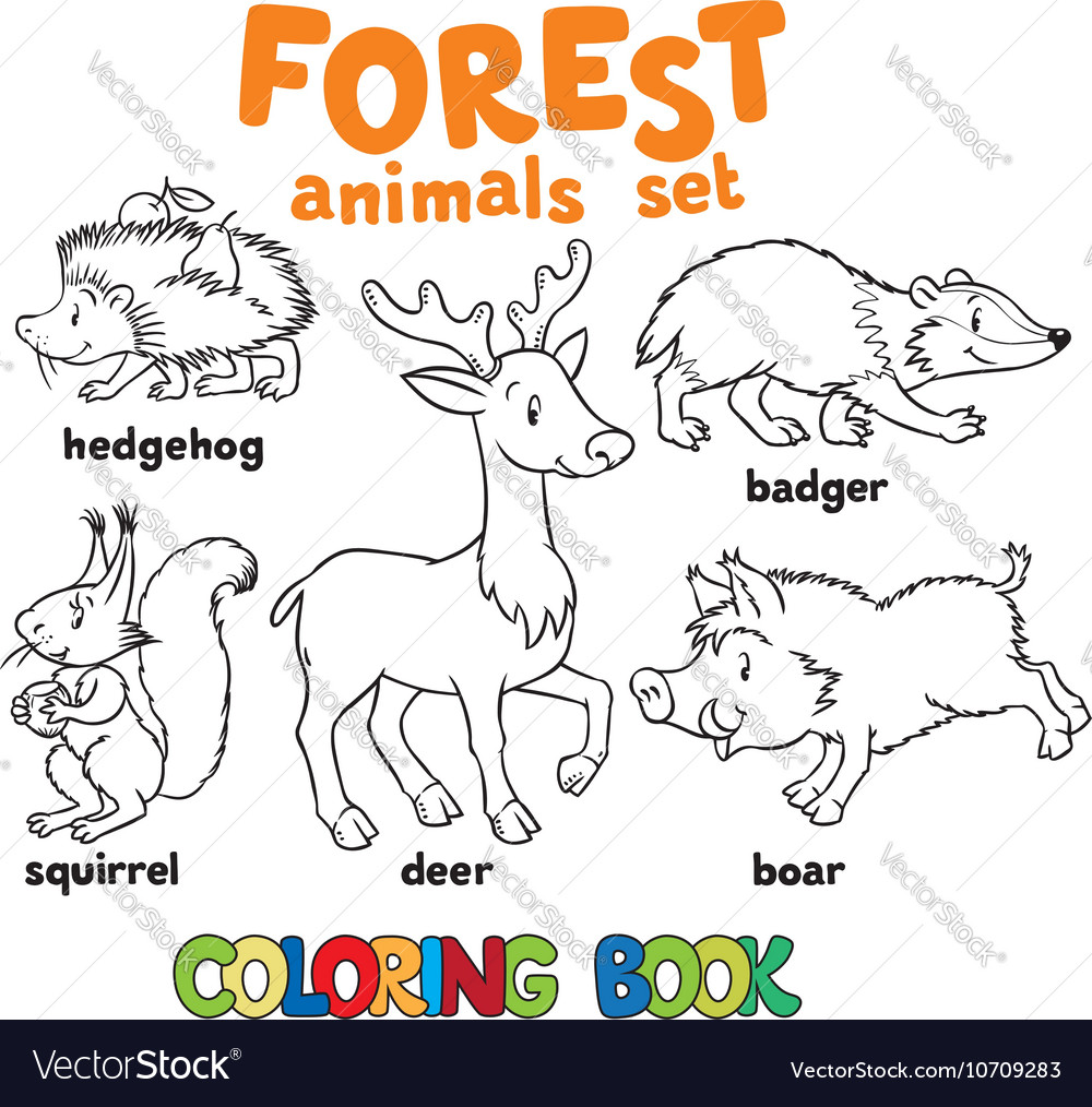 Forest animals coloring book royalty free vector image