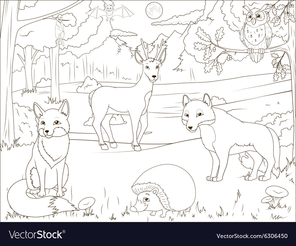 Coloring book forest with cartoon animals vector image