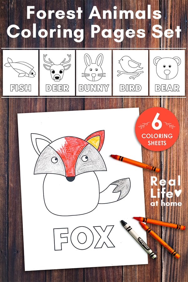 Simple and linear forest animals coloring pages set pages