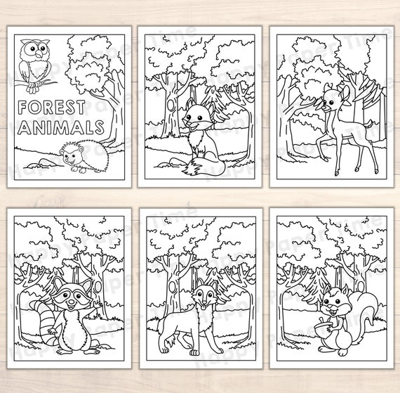 Forest animals coloring pages woodland theme printable art activity for kids forest birthday party favor pdf file instant download download now