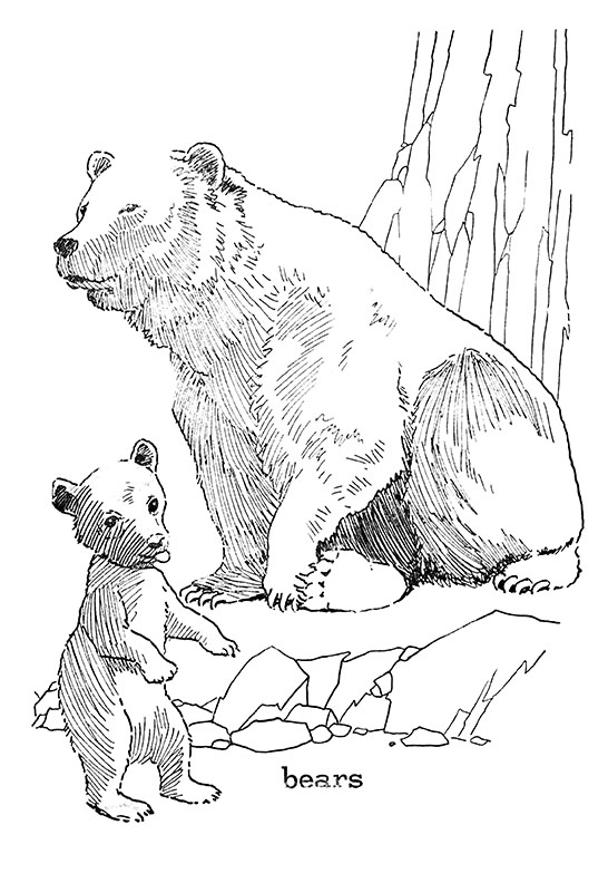 Forest animal coloring pages