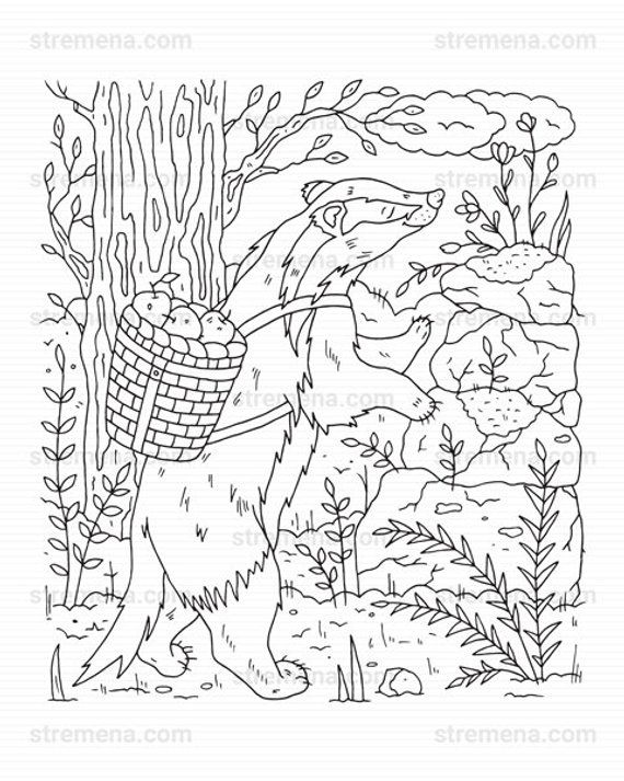 Coloring book pdf the secret life of forest animals