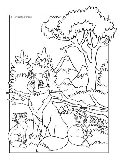 Forest animal coloring pages