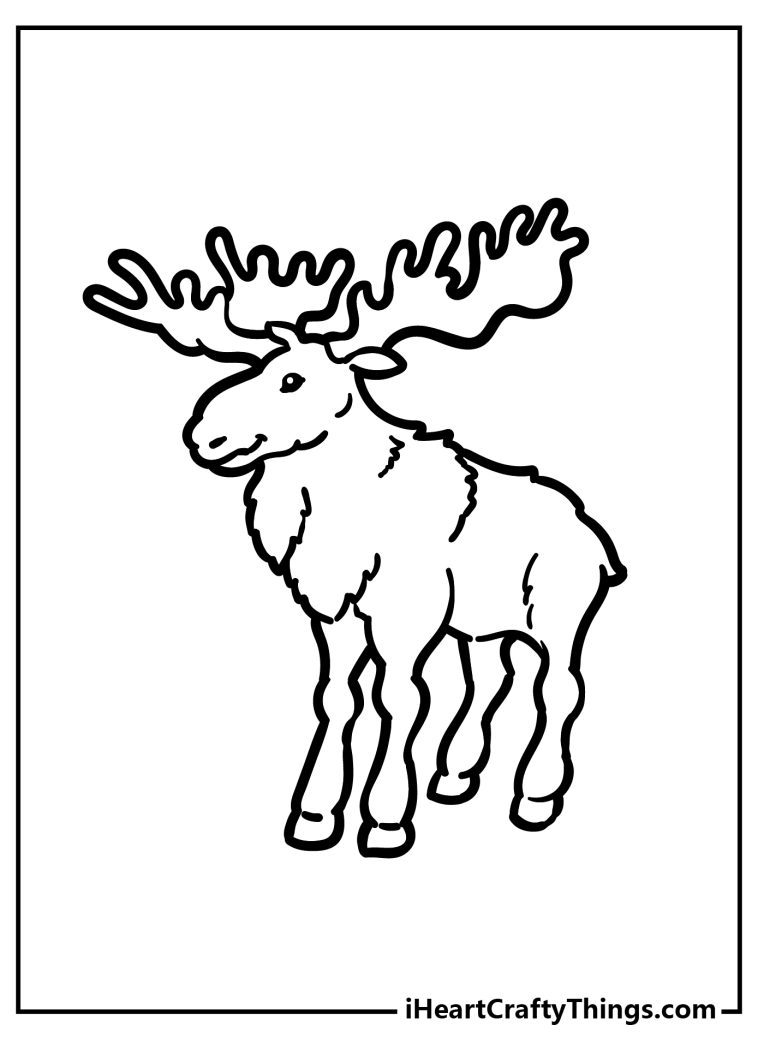 Forest animals coloring pages free printables