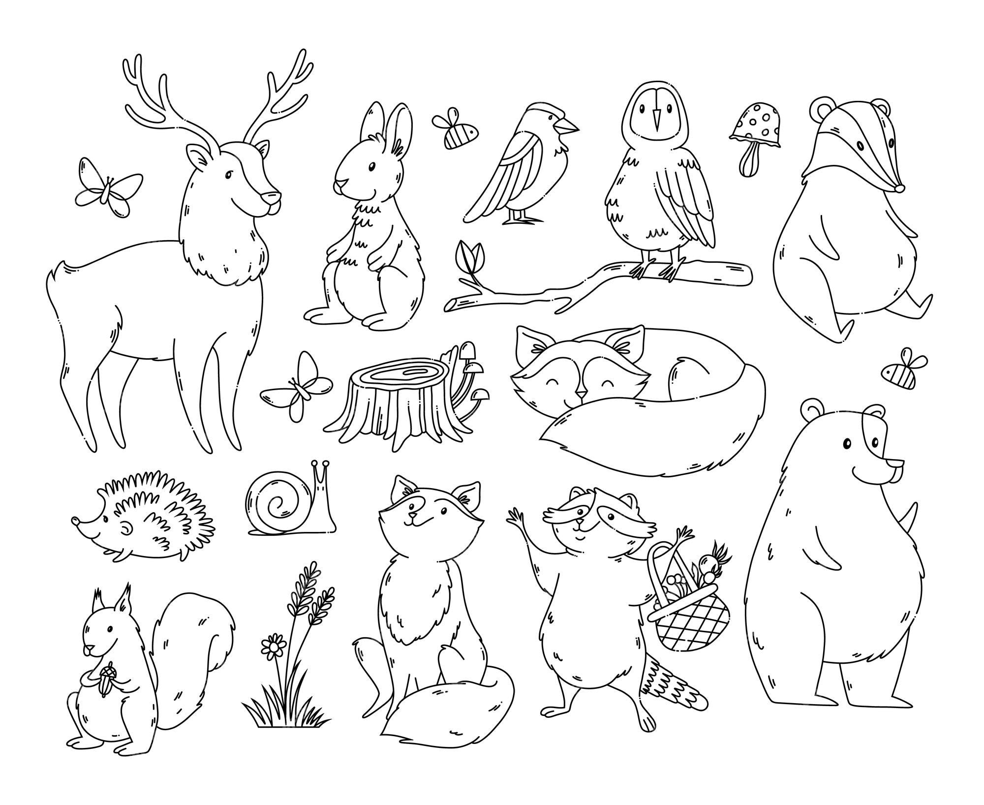 Premium vector black outline forest animals and nature elements isolated clipart set for coloring page