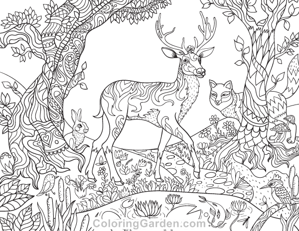 Free printable forest creatures adult coloring page the coloring pages includes treesâ deer coloring pages enchanted forest coloring book animal coloring pages