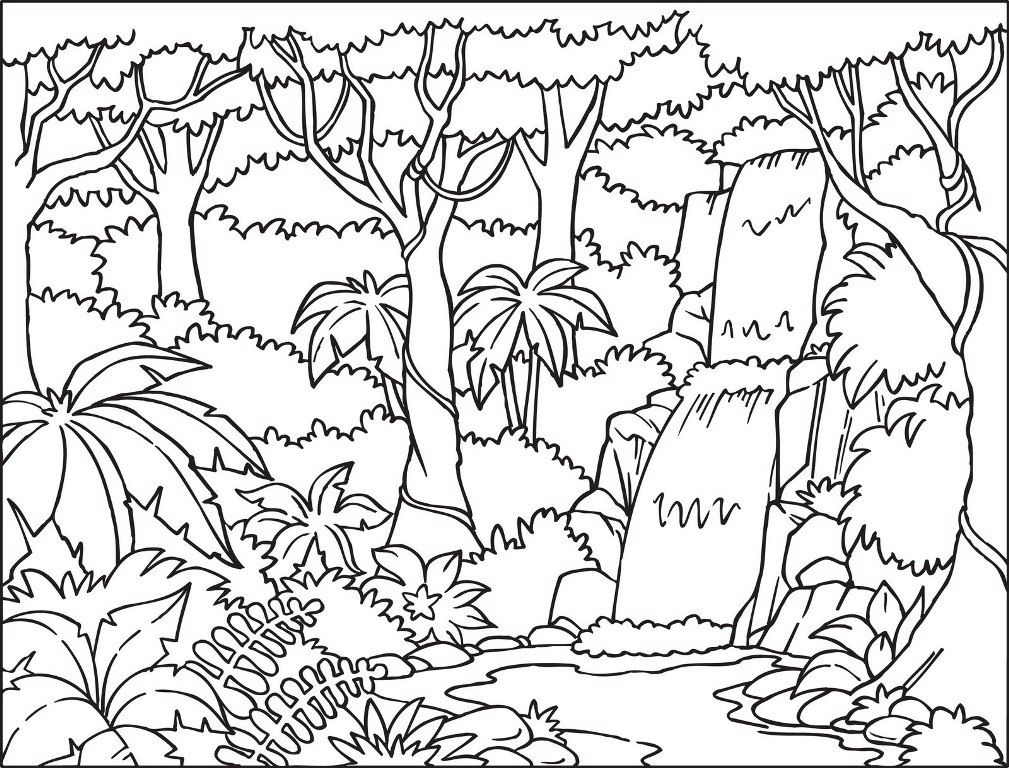 Forest coloring pages