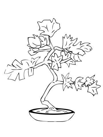 Bonsai coloring page free printable coloring pages