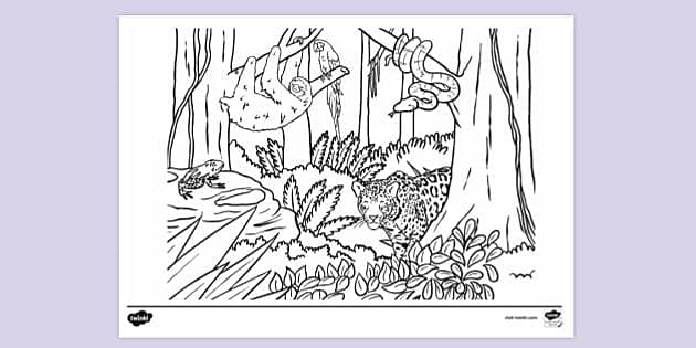 Free forest animals colouring page