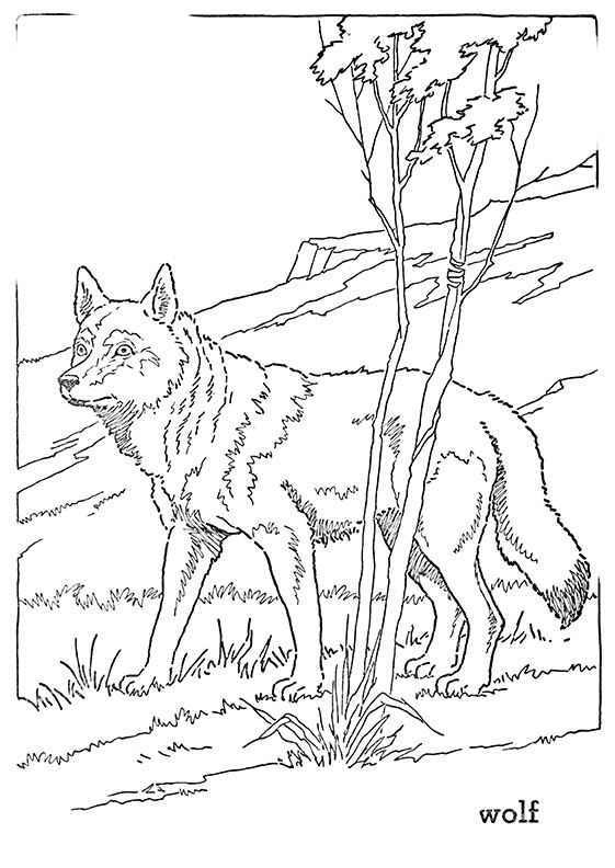 Forest animal coloring pages