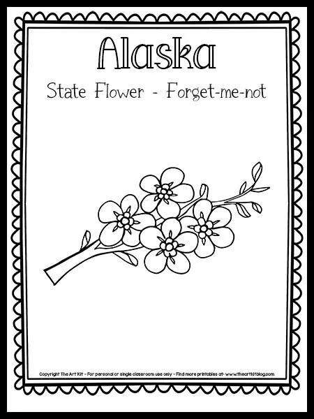 Alaska state flower coloring page forget