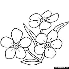 Image result for forget me nots drawing flower coloring pages online coloring pages flower drawing