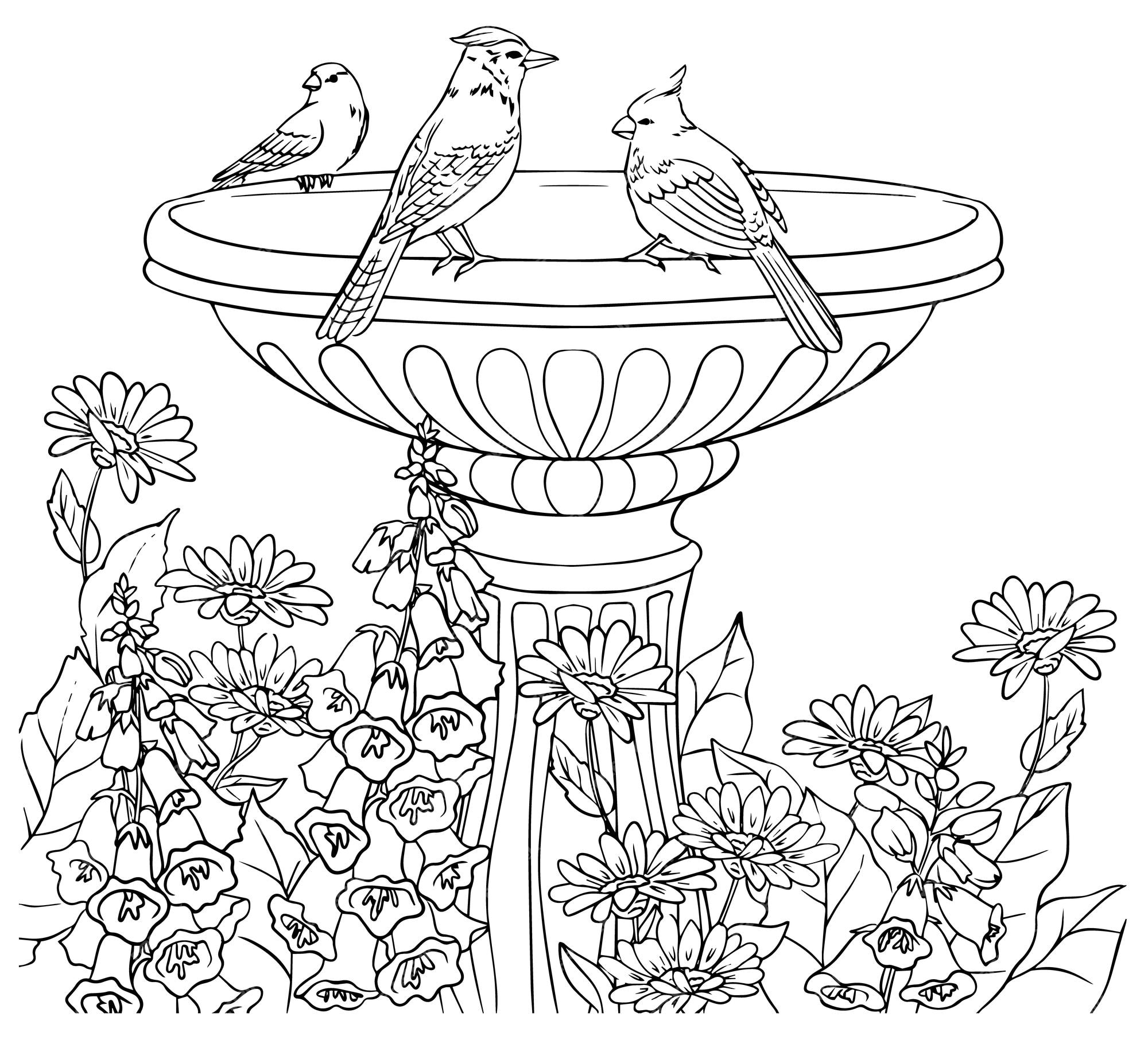 Premium vector fountain birds flowers coloring book hand vector
