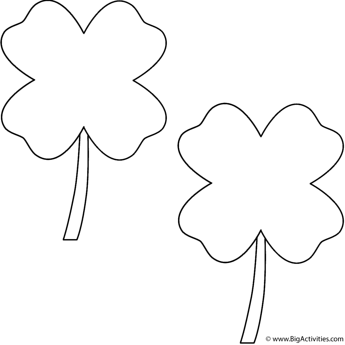 Four leaf clovers clovers