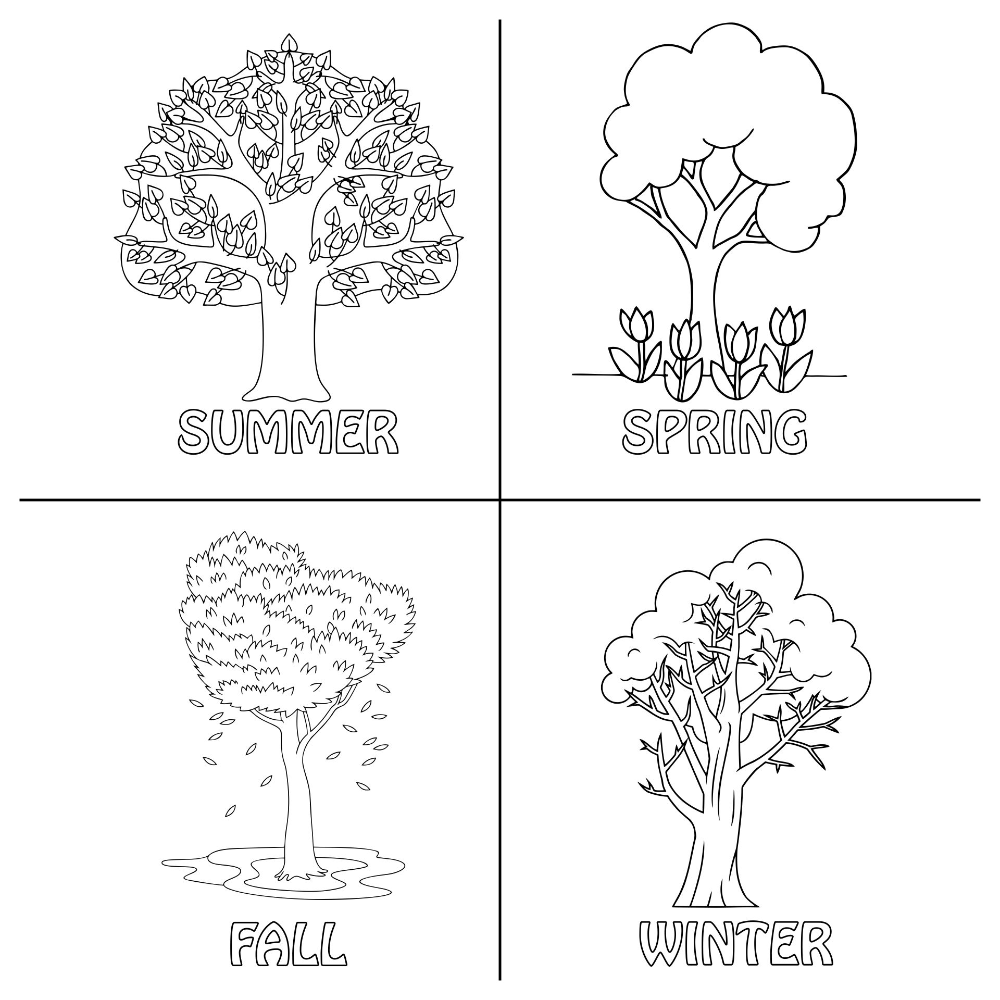 Four seasons tree coloring page preschool coloring pages seasons preschool coloring pages