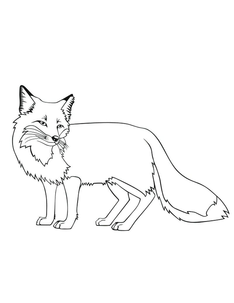 Free printable fox coloring pages for kids fox coloring page horse coloring pages animal coloring pages