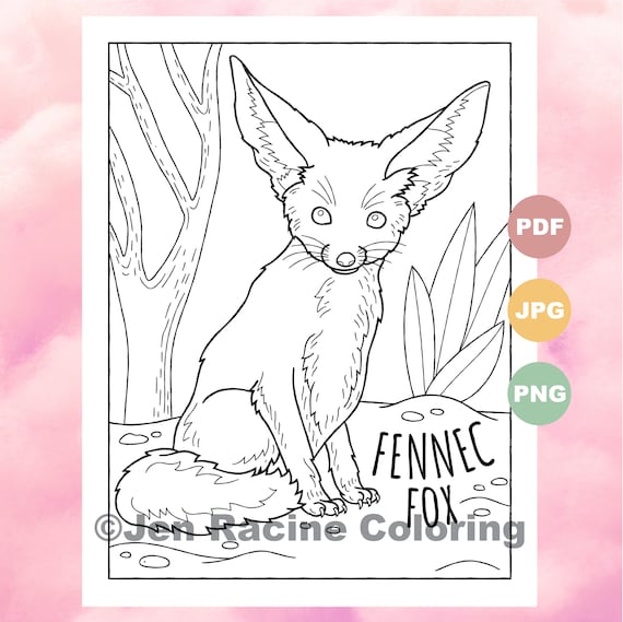 Fennec fox unmonly cute animal coloring page