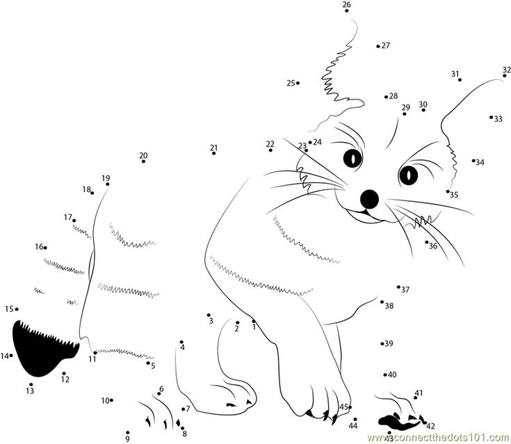 Fennec fox connect the dots worksheet owl coloring pages animal templates fox crafts