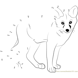 Fox connect the dots worksheets printable for kids