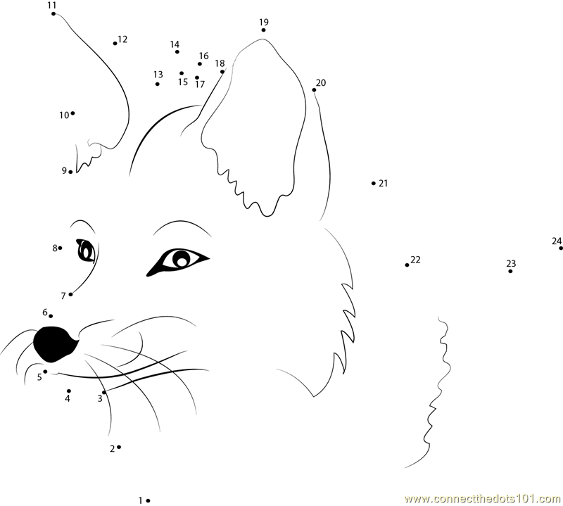 Fox face dot to dot printable worksheet