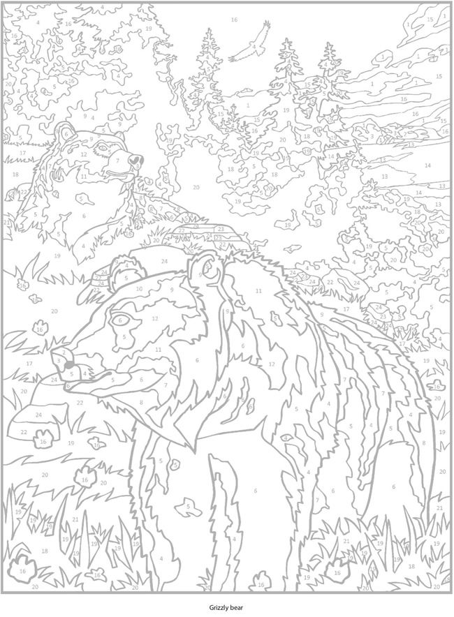 Wele to dover publications wild animals painting color by number printable animal coloring books