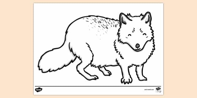Fox template for louring
