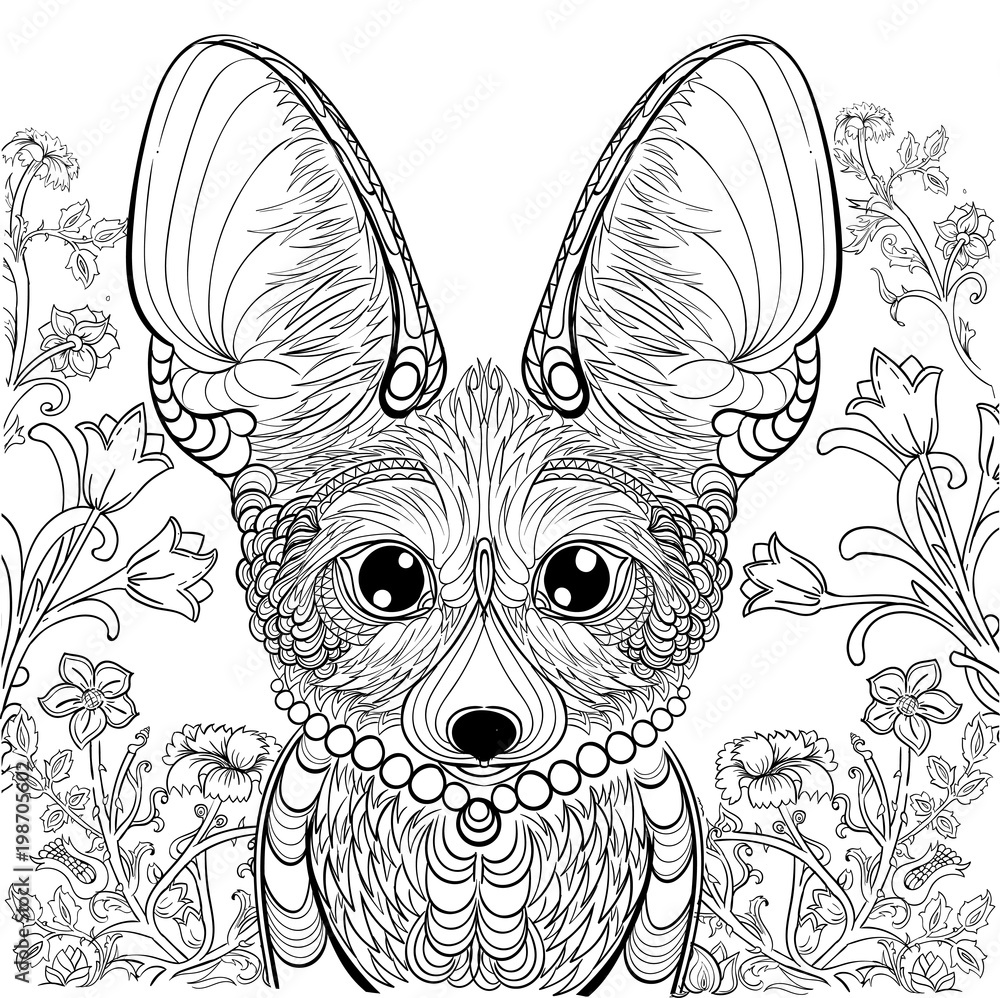 Fox fennec and floral elements for coloring book anti