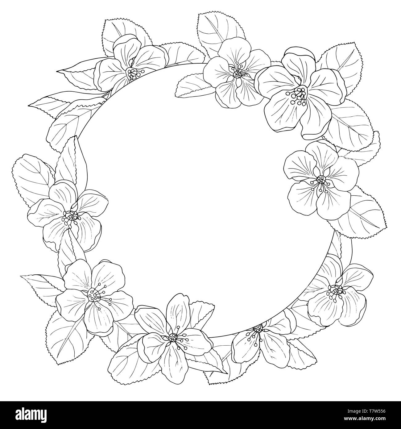 Beautiful apple blossom frame coloring page for adults and children stock vector image art