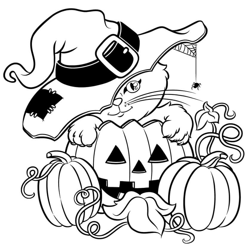 Cat witch with pumpkins coloring page