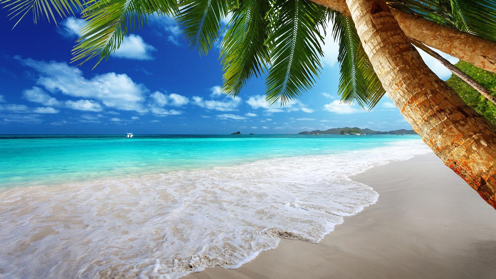 Beach wallpapers full hd desktop wallpapersfree desktop hot wallpapers