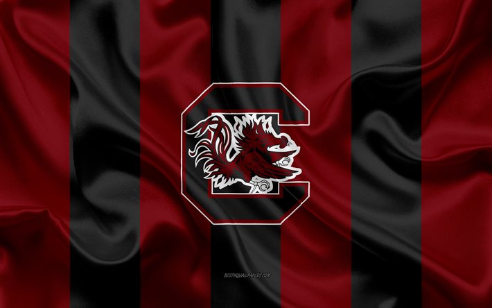 Download wallpapers south carolina gamecocks american football team emblem silk flag red