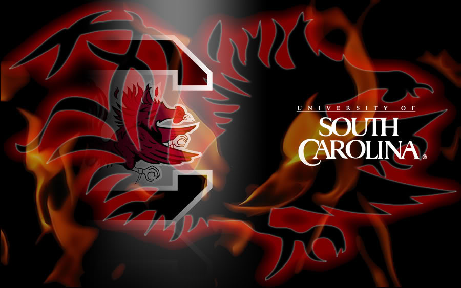 Free download south carolina gamecocks image south carolina gamecocks graphic code x for your desktop mobile tablet explore usc gamecocks wallpaper gamecock wallpapers and screensavers gamecock desktop wallpaper