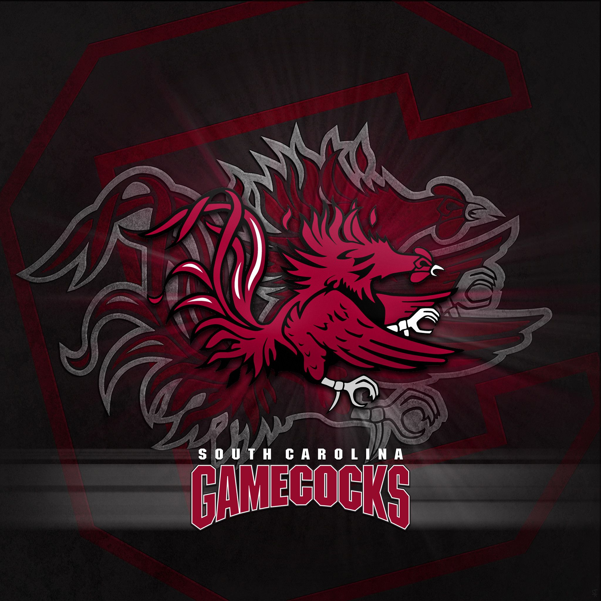 South carolina gamecocks wallpapers