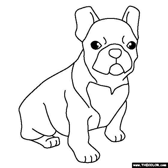 Free coloring page of a french bulldog puppy color in this picture of a french bulldog puppy and sâ puppy coloring pages dog coloring page bulldog drawing