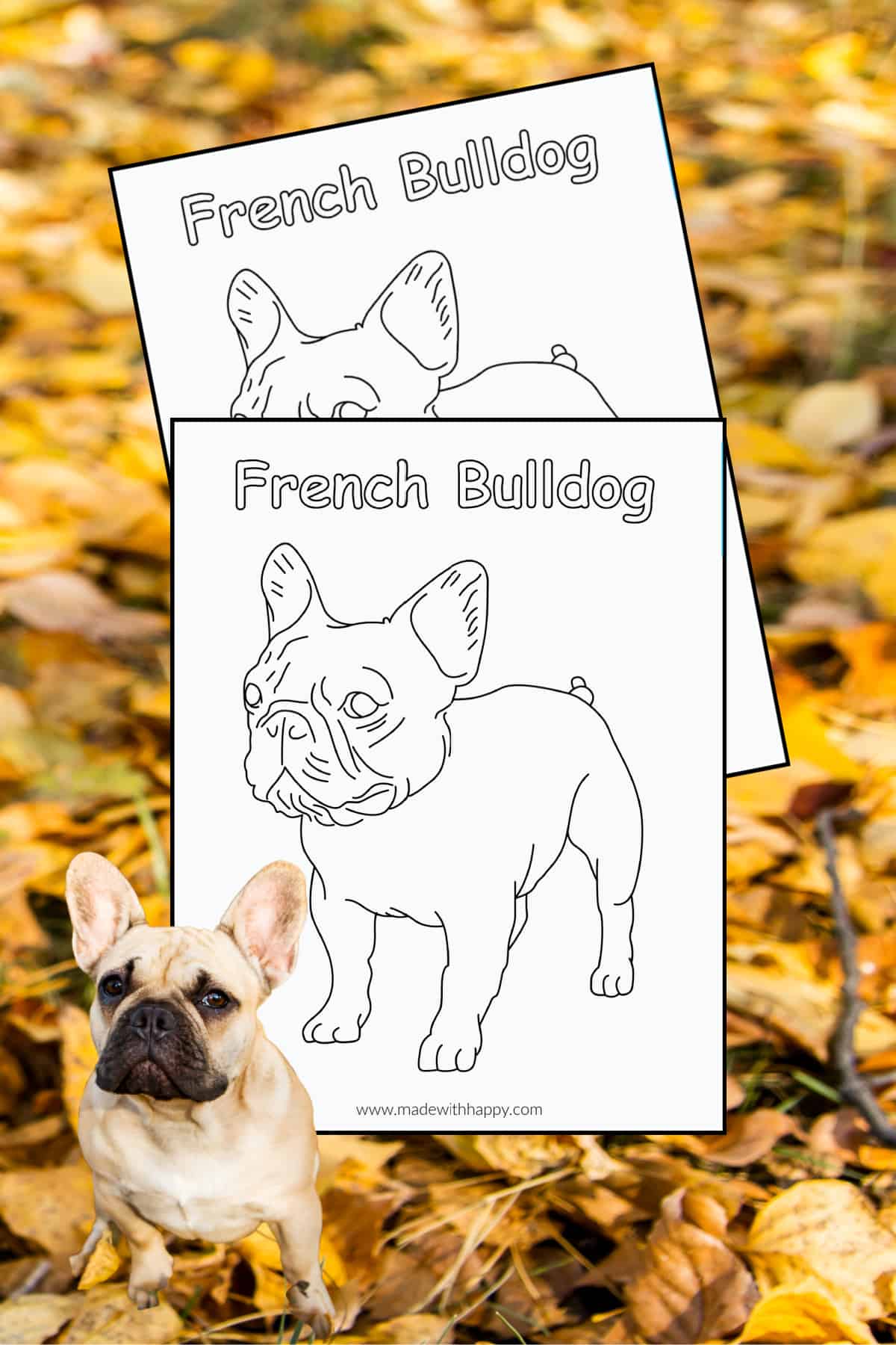 Free printable french bulldog coloring page