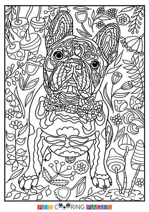 Free printable french bulldog coloring page available for download simple and detailed versions for adults â dog coloring book dog coloring page coloring pages