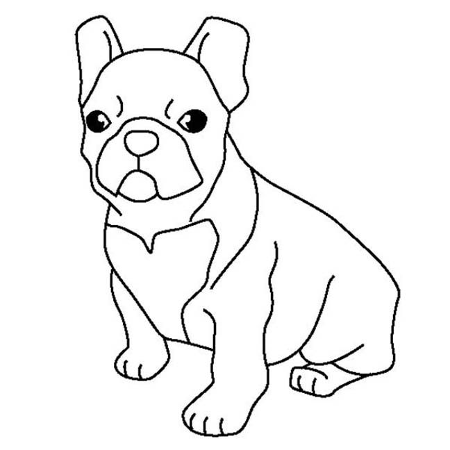 French bulldog coloring pages