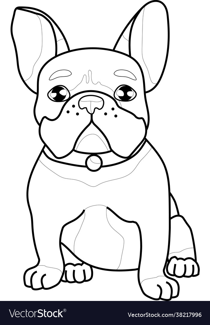 Cute realistic french bulldog sketch template vector image