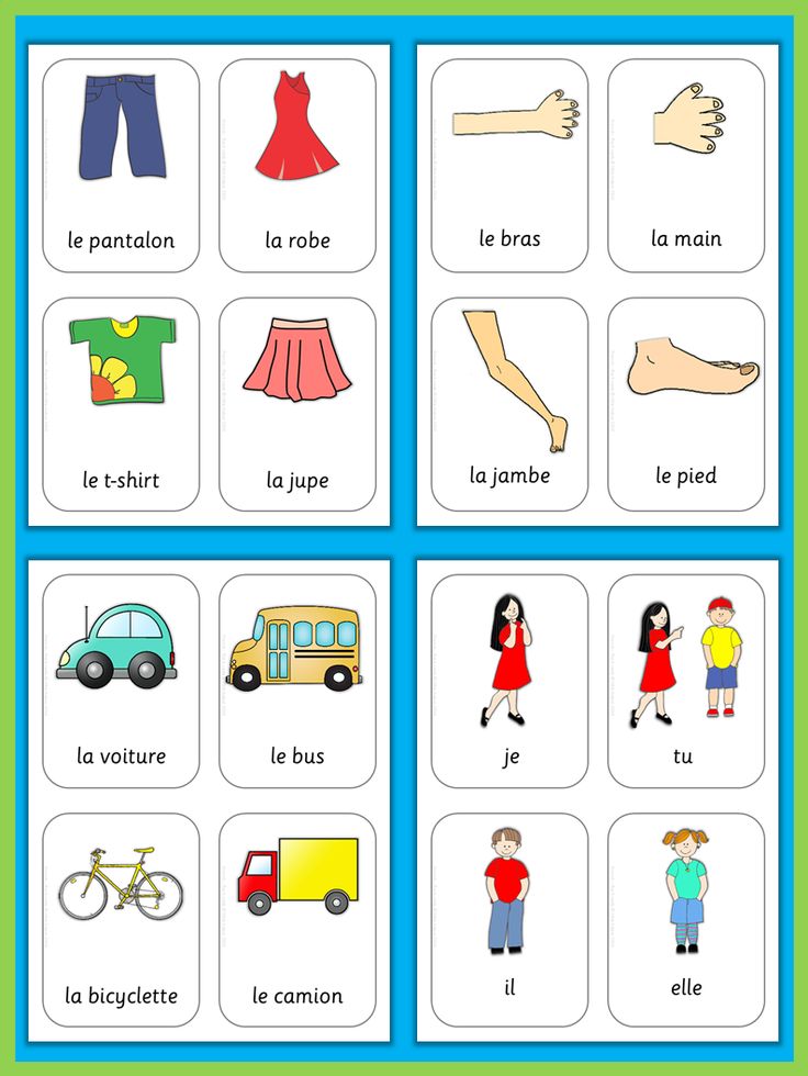 French flash cards basic vocabulary french lessons french worksheets french language lessons