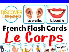 Beginner french flashcards