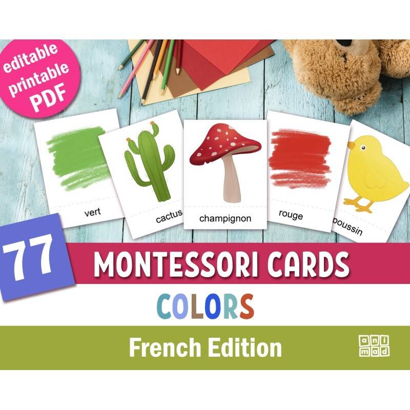 French colors montessori cards editable printable pdf learn colors in french educational flashcards preschool vocabulary part cards