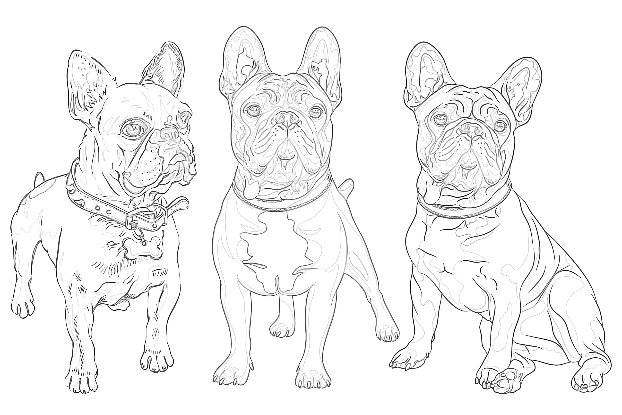 French bulldog coloring page