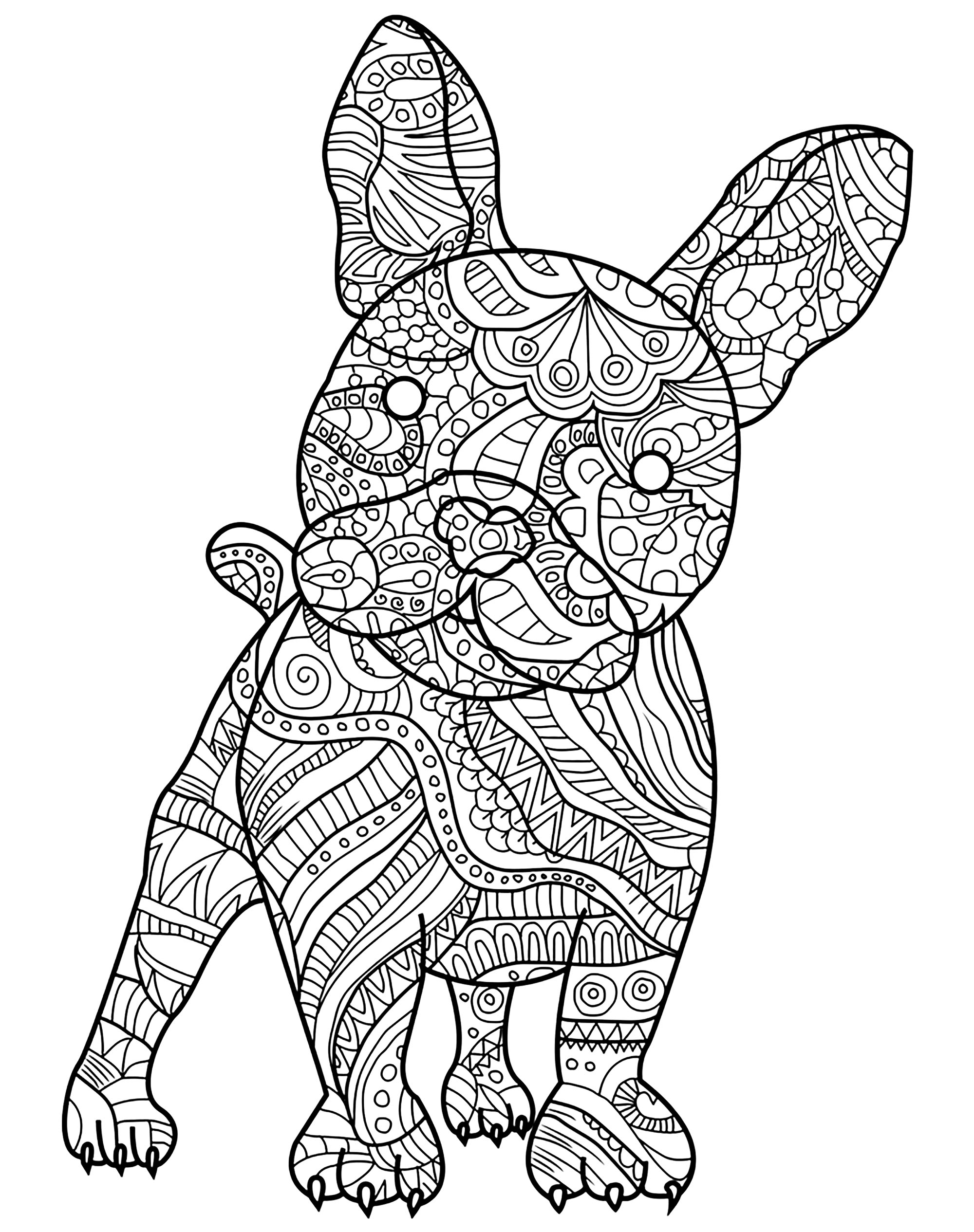 French bulldog and its harmonious patterns